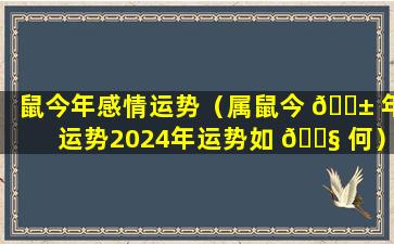 鼠今年感情运势（属鼠今 🐱 年运势2024年运势如 🐧 何）